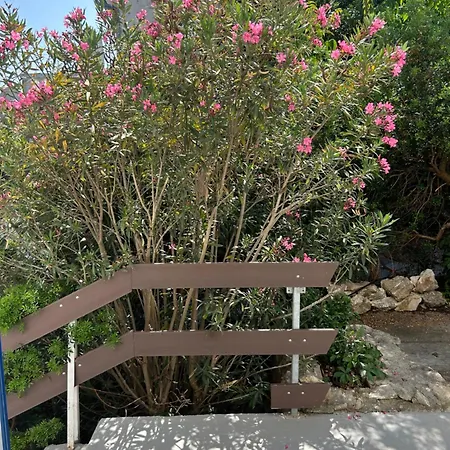 Molat Bay View * Molat