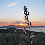Apartment Molat Bay View Molat