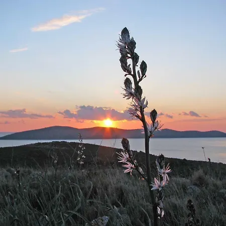 公寓 Molat Bay View Molat